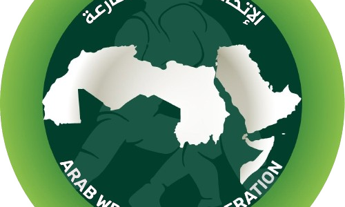 اساسيات المصارعة